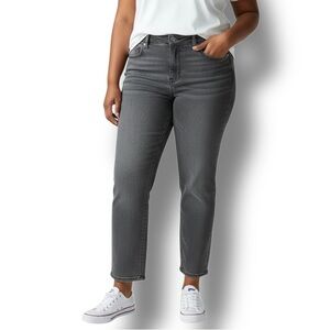 Truth + Theory Women’s Ankle Skinny Super Soft Stretch Jeans, Concrete, sz 24W